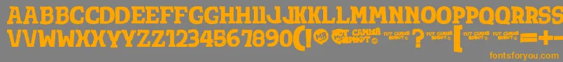 TotShriftBold Font – Orange Fonts on Gray Background