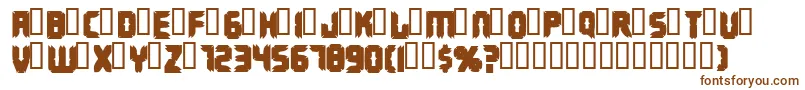 Terminus Font – Brown Fonts on White Background