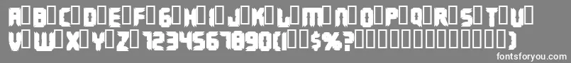 Terminus Font – White Fonts on Gray Background