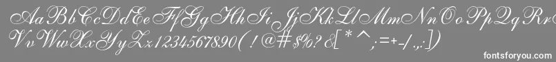 AlsScript-Schriftart – Weiße Schriften auf grauem Hintergrund