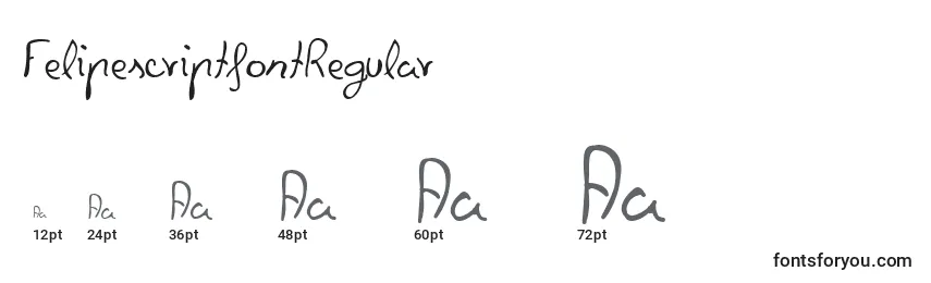 FelipescriptfontRegular Font Sizes