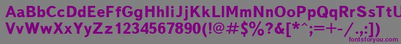 Police TextbookBold – polices violettes sur fond gris
