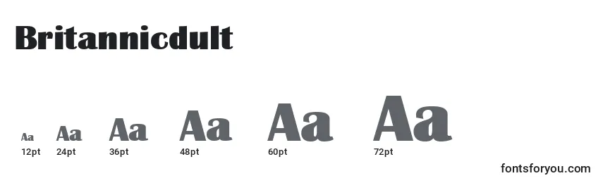 Britannicdult Font Sizes