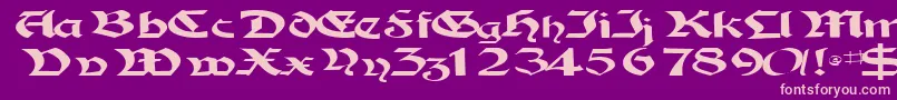 Police Tampicossk – polices roses sur fond violet