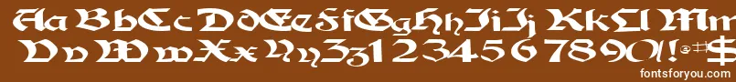 フォントTampicossk – 茶色の背景に白い文字