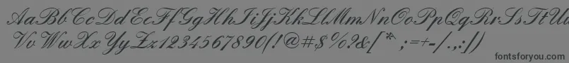 Quadrillescriptblackssk Font – Black Fonts on Gray Background