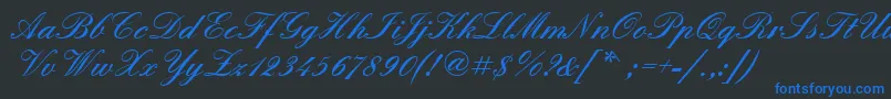 Quadrillescriptblackssk Font – Blue Fonts on Black Background