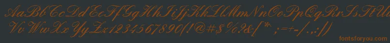 Quadrillescriptblackssk Font – Brown Fonts on Black Background