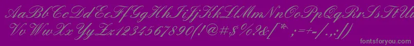 Quadrillescriptblackssk Font – Gray Fonts on Purple Background