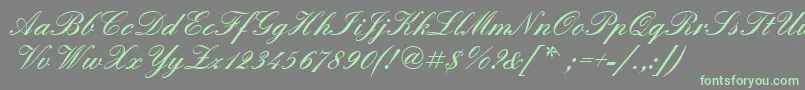 Quadrillescriptblackssk Font – Green Fonts on Gray Background