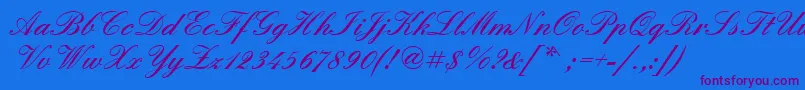Quadrillescriptblackssk Font – Purple Fonts on Blue Background