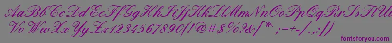 Quadrillescriptblackssk-Schriftart – Violette Schriften auf grauem Hintergrund