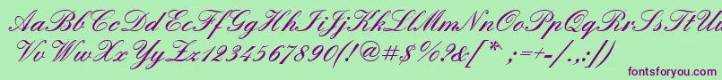 Quadrillescriptblackssk Font – Purple Fonts on Green Background