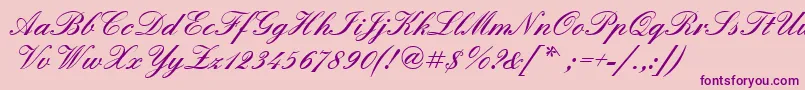 Quadrillescriptblackssk Font – Purple Fonts on Pink Background