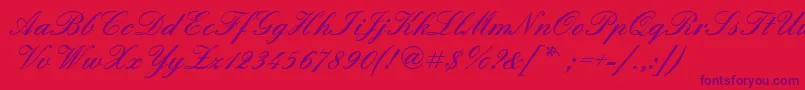Quadrillescriptblackssk Font – Purple Fonts on Red Background