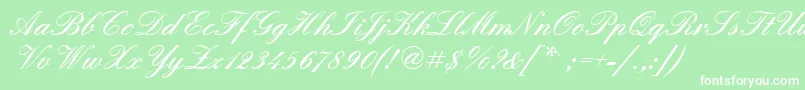 Quadrillescriptblackssk Font – White Fonts on Green Background