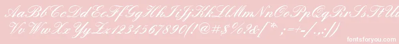 Quadrillescriptblackssk Font – White Fonts on Pink Background
