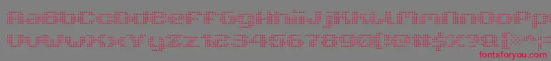 V5XtenderLoin Font – Red Fonts on Gray Background