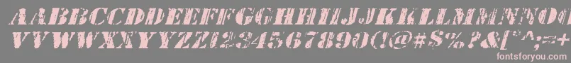 Wetworksexpandital Font – Pink Fonts on Gray Background