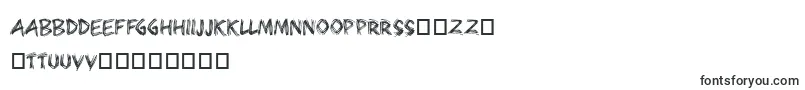 Bearpaw Font – Estonian Fonts