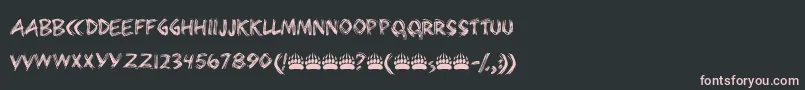 Bearpaw Font – Pink Fonts on Black Background