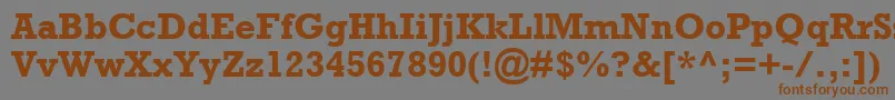 AstuteSsiBold Font – Brown Fonts on Gray Background