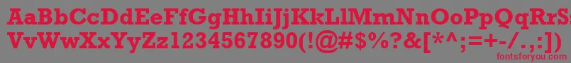 フォントAstuteSsiBold – 赤い文字の灰色の背景