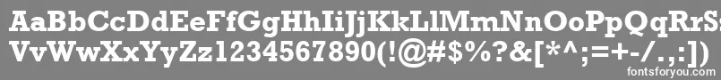 フォントAstuteSsiBold – 灰色の背景に白い文字