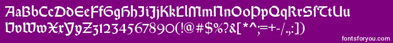 RundgotischRegular Font – White Fonts on Purple Background