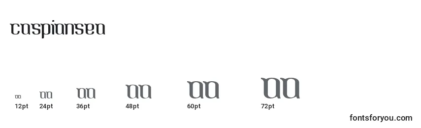 Размеры шрифта CaspianSea