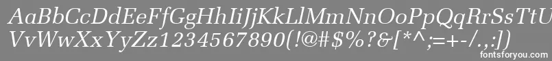 フォントMeliorLtItalic – 灰色の背景に白い文字