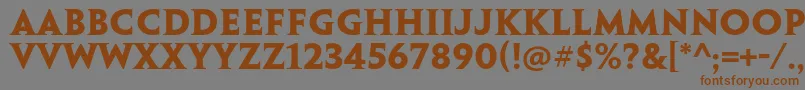 PenumbraserifstdBold Font – Brown Fonts on Gray Background