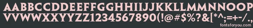 PenumbraserifstdBold Font – Pink Fonts on Black Background