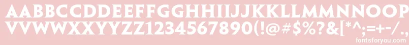 PenumbraserifstdBold-Schriftart – Weiße Schriften auf rosa Hintergrund