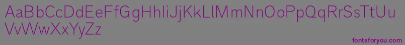 フォントAnalogue35thin – 紫色のフォント、灰色の背景