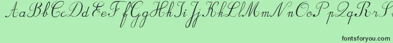 BvRondesItal Font – Black Fonts on Green Background