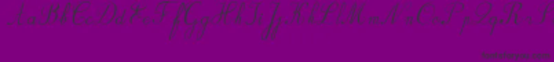 BvRondesItal Font – Black Fonts on Purple Background