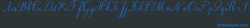 フォントBvRondesItal – 黒い背景に青い文字