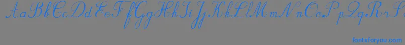 BvRondesItal Font – Blue Fonts on Gray Background