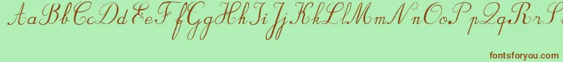 BvRondesItal Font – Brown Fonts on Green Background