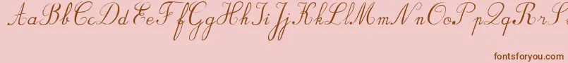 フォントBvRondesItal – ピンクの背景に茶色のフォント
