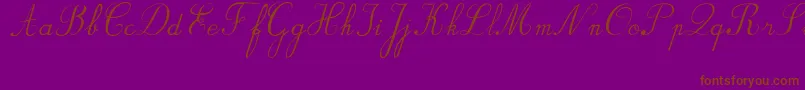 Шрифт BvRondesItal – коричневые шрифты на фиолетовом фоне