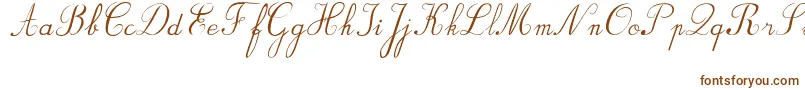 Шрифт BvRondesItal – коричневые шрифты