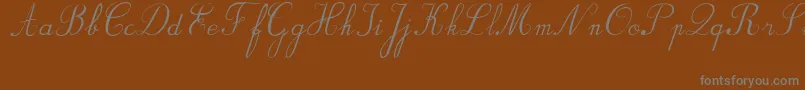 フォントBvRondesItal – 茶色の背景に灰色の文字