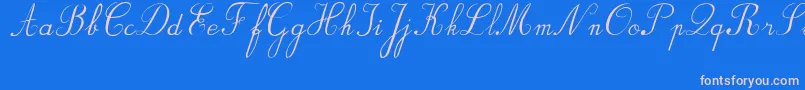 フォントBvRondesItal – ピンクの文字、青い背景