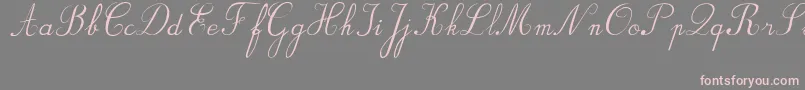 フォントBvRondesItal – 灰色の背景にピンクのフォント