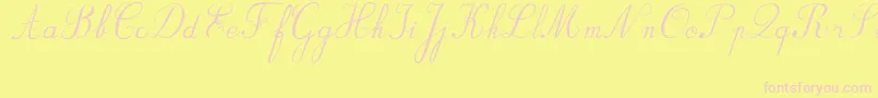 BvRondesItal Font – Pink Fonts on Yellow Background