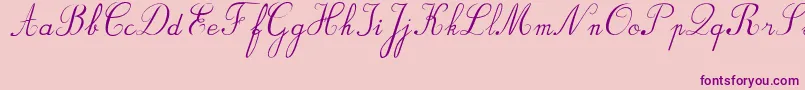 BvRondesItal-fontti – violetit fontit vaaleanpunaisella taustalla