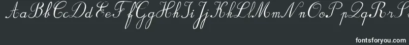 BvRondesItal Font – White Fonts
