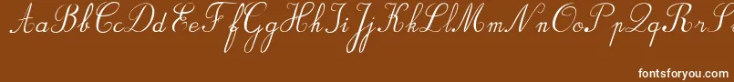 BvRondesItal-Schriftart – Weiße Schriften auf braunem Hintergrund